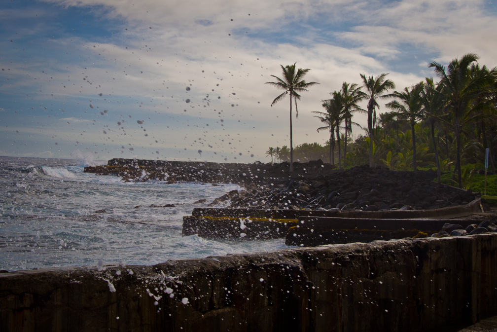 20131107 DSC 7217 1000