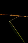 20131114 DSC 7915 1000
