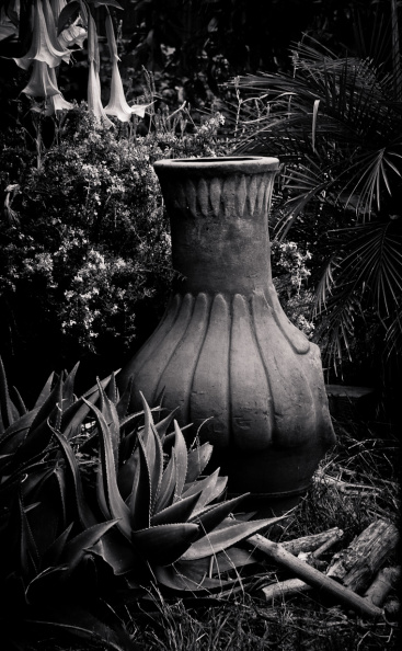 20131114 DSC 7918 1000