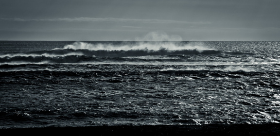 20140226 DSC 8819 1000