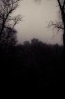 20130111 DSC 4871 1000
