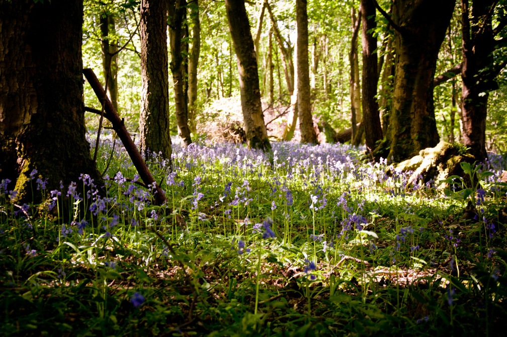 20130602 DSC 5864 1000