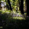 20130602 DSC 5868 1000