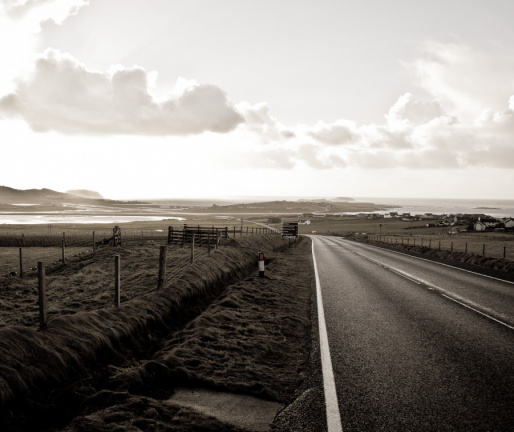 20150126 DSC 1806 1000