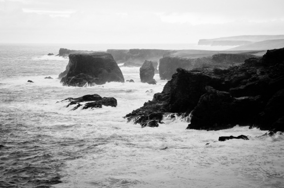 20150128 DSC 2030 1000