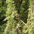 Pa03000x4
