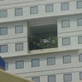 PA170161.jpg