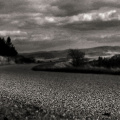 road