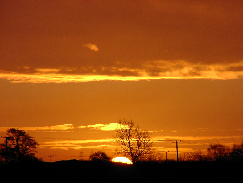 p2010015.jpg
