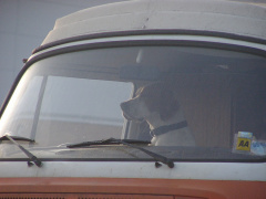 p3160005