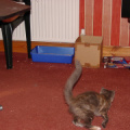 pa190001.jpg