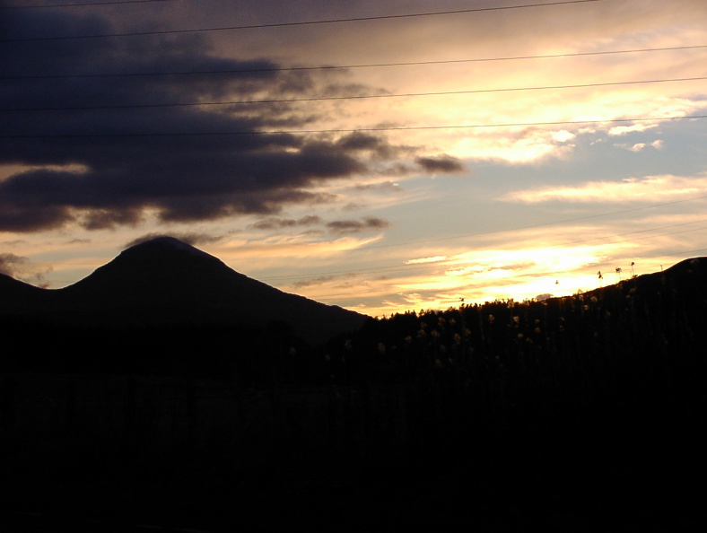 pa210007.jpg