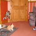 pb110007.jpg