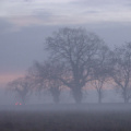 pc050021.jpg