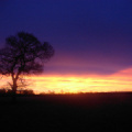 pc220017.jpg