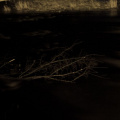p2130131ed