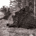 p3250355ed
