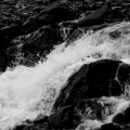 p4090558ed