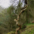 p4230654ed