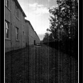 pa280797 copy