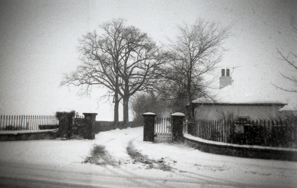 AE1 fp4 25-35mm solGstand 017