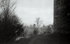 Trip35 foma100 002