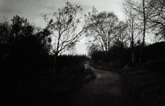zorki4k tri-x007