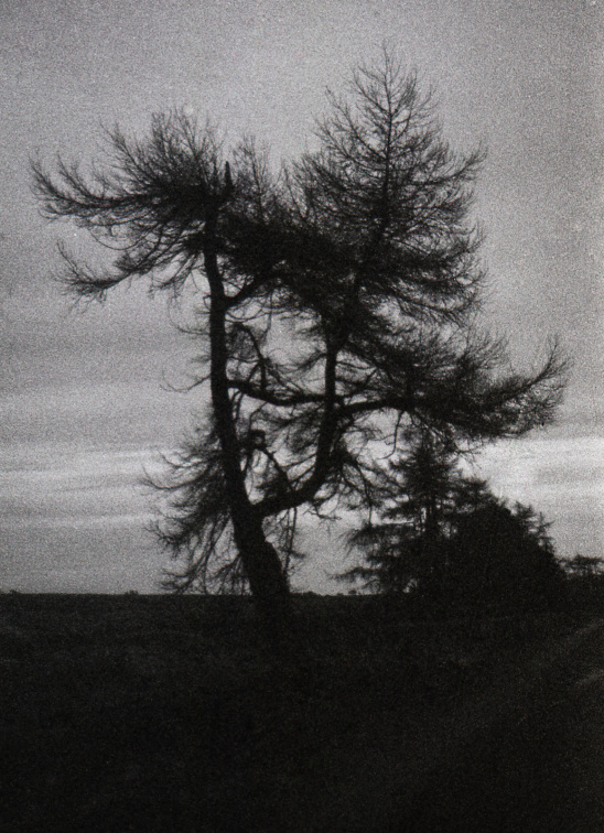 om40 hp5 exp-nov1988 035