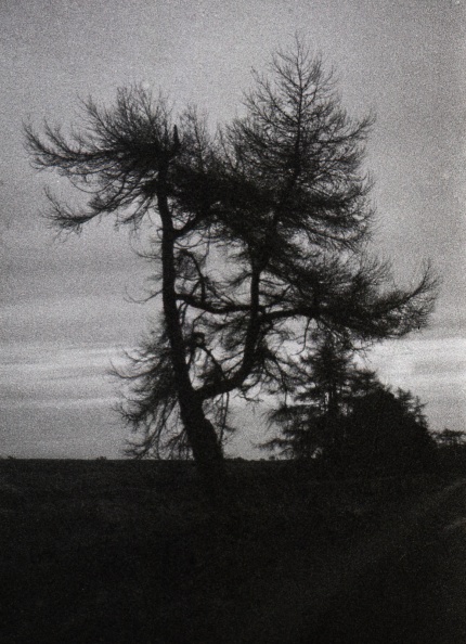 om40 hp5 exp-nov1988 035