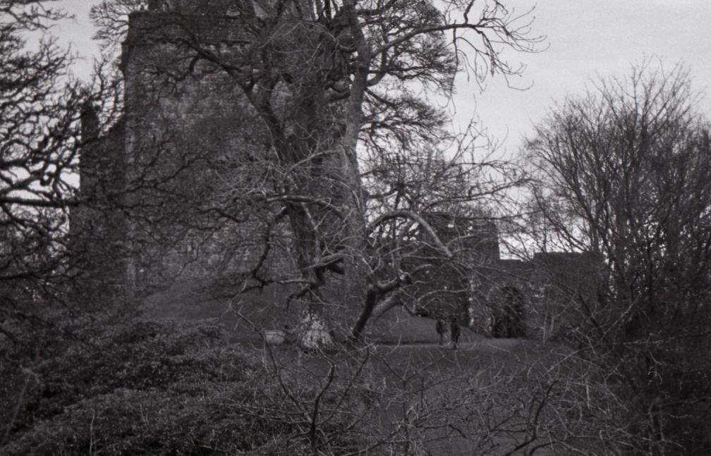 om10 tri-x castle campbell 019
