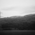om20_foma100_001.jpg