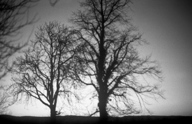om20 foma100 011