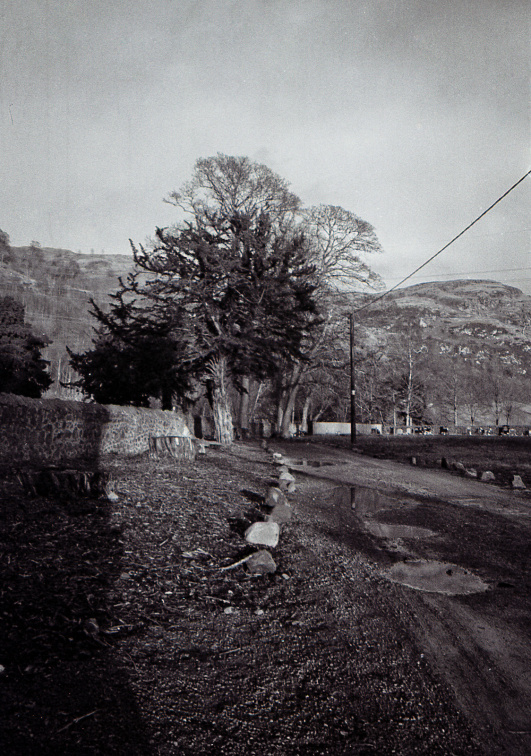 om40 tx400007