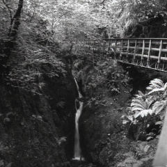 om20 foma100 at400 lc29push1006