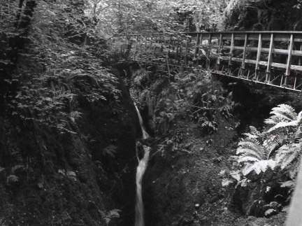 om20 foma100 at400 lc29push1006