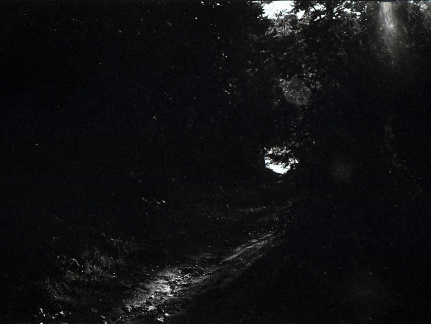 kiev4m foma100 lc29 012