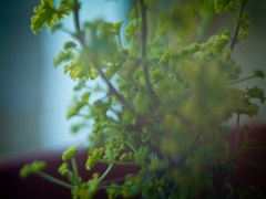 P1017453