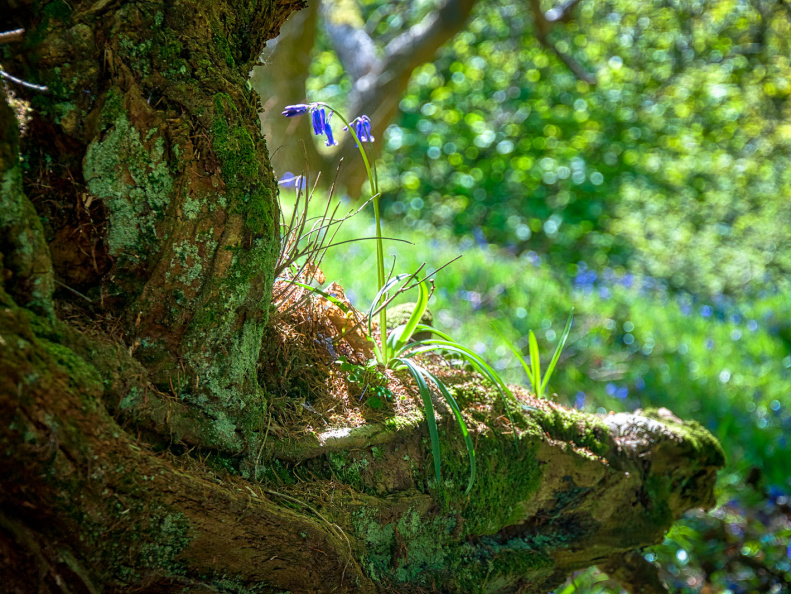 DSC 6762 AuroraHDR2018-edit