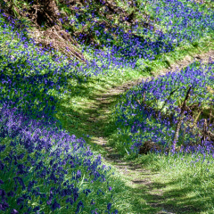 DSC 6828 AuroraHDR2018-edit