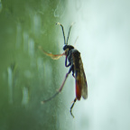 P1017920