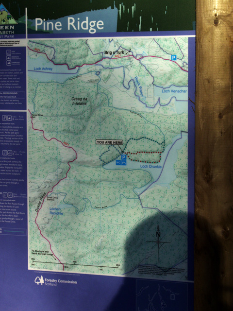 you are here