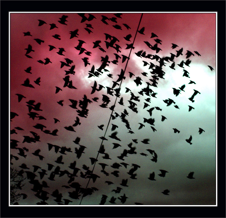 p1281450 copy