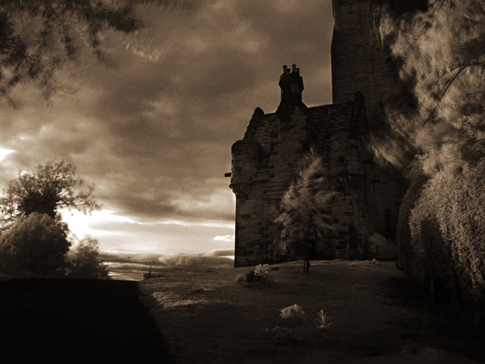 7ir wallace